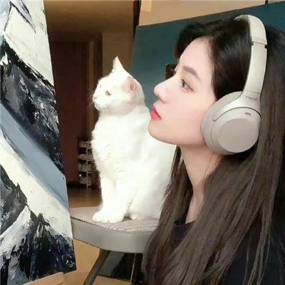 爱你,维克托第二季