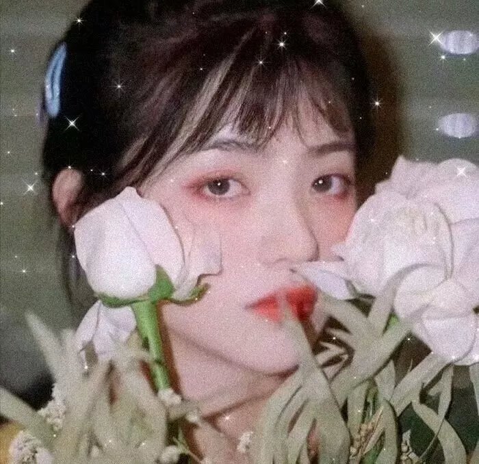 路上有狼